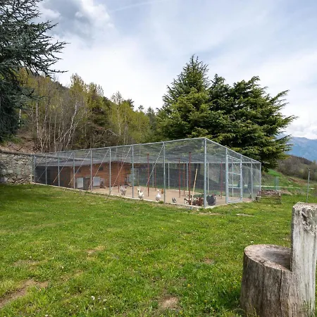 Chaouette By Interhome Sarre