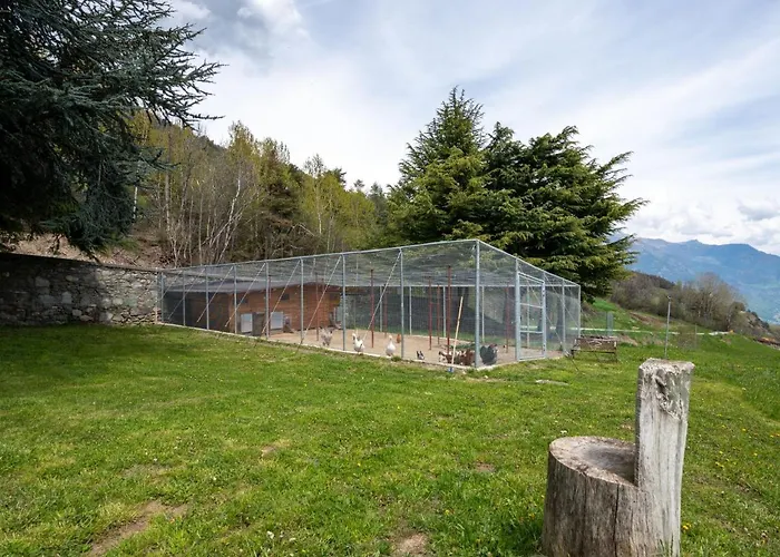 Chaouette By Interhome Sarre